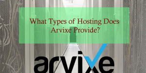 What Types of Hosting Does Arvixe Hosting Provides?
