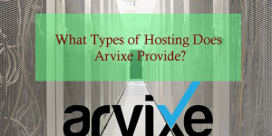 What Types of Hosting Does Arvixe Hosting Provides?